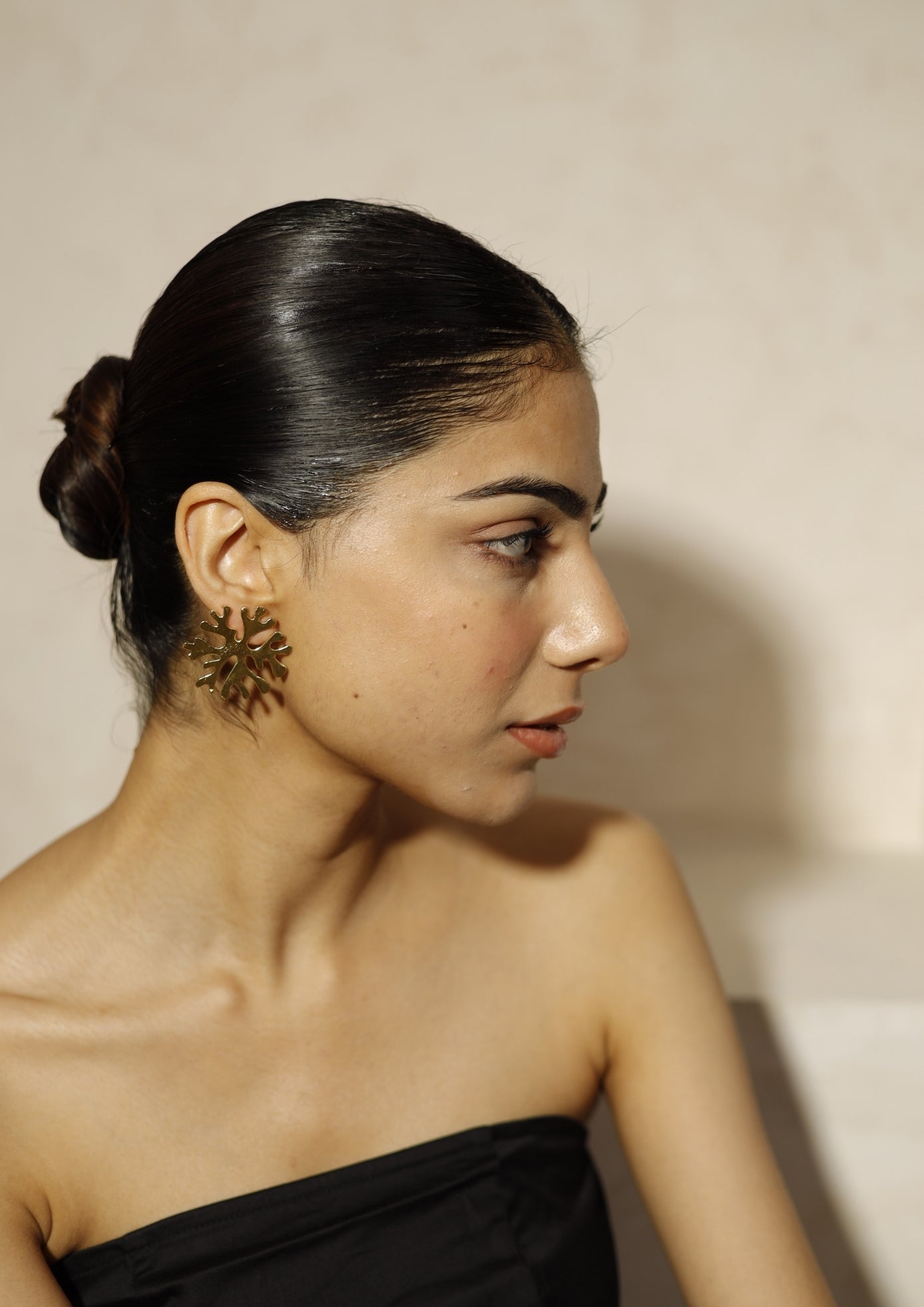 Aaral Studs