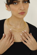 Avni